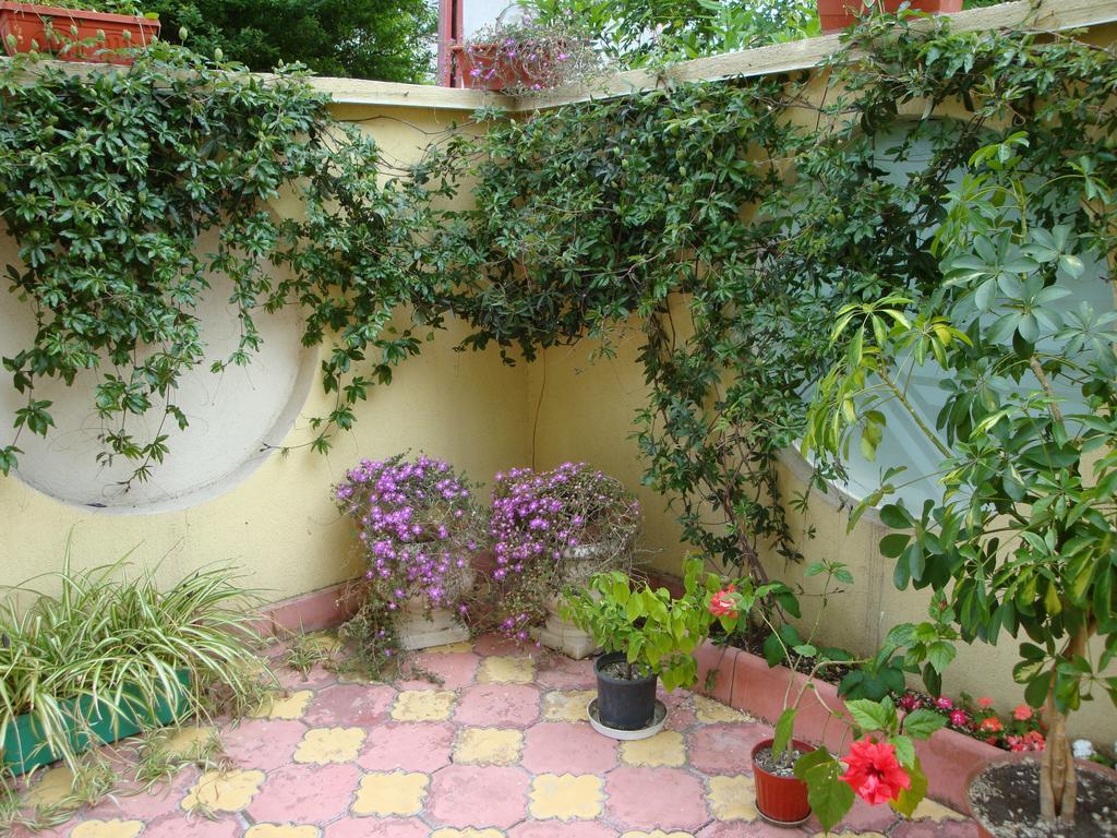 Stela Guest House Tsarevo Rom bilde